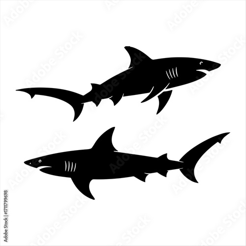Two black silhouette sharks swimming gracefully
