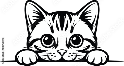 Adorable kitten peeking over edge curious eyes adorable pet animal portrait