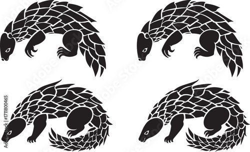 Stylized pangolin designs, unique animal art