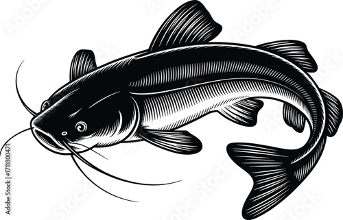 Detailed black and white artistic rendering of a catfish with stylized fins and whiskers