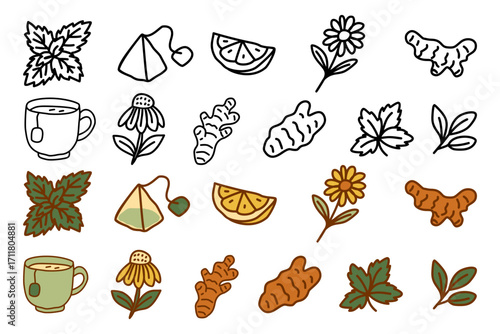 A hand-drawn doodle icon set of herbal tea and natural ingredients, including mint, ginger, lemon, and chamomile, presented in both black and white outline and color versions for wellness themes