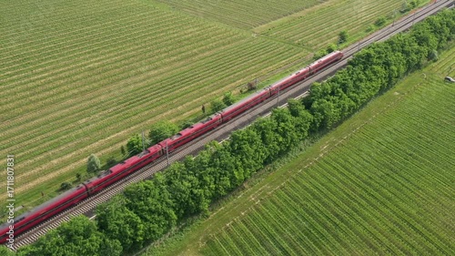Wallpaper Mural A sleek Italian train speeds through the countryside, surrounded by vineyards and rolling fields. Stunning aerial view. Torontodigital.ca