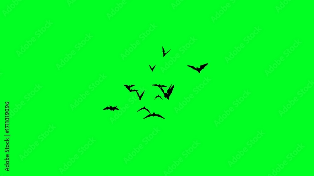 Colony of bats flying on green screen background. Flying Bat Animation on Green Background 4K.