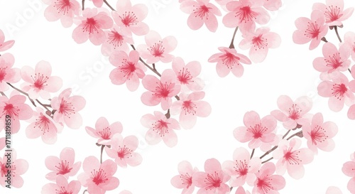 Watercolor Cherry Blossom Pattern on White Background.