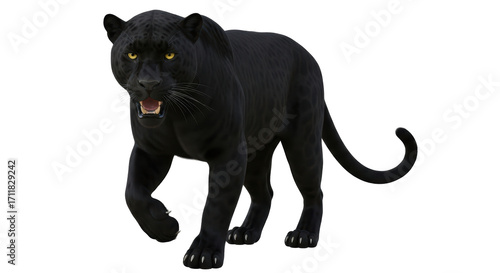 Isolated black panther prowling in the jungle, ready to strike a predator, fierce wildlife