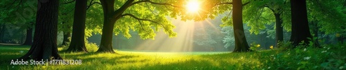 Sunlight dappling through the leaves of a lush forest, illuminating a tranquil park scene Perfect for nature, tranquility, and environmental themes , plants, calm, green