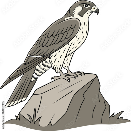 Cartoon flying bald eagle mascot with outspread wings and head