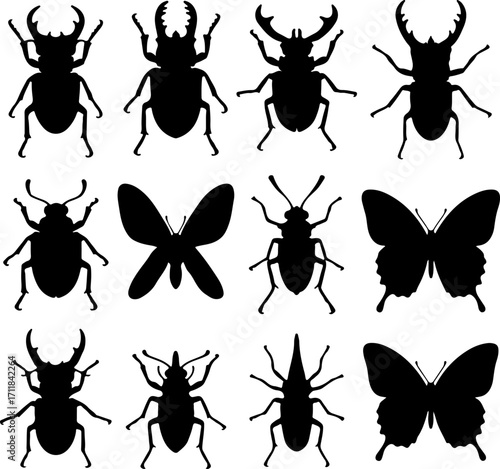Diverse collection of insect vector silhouettes. A graphic set featuring stag beetles, butterflies, and various bugs for entomology or creative design concepts
