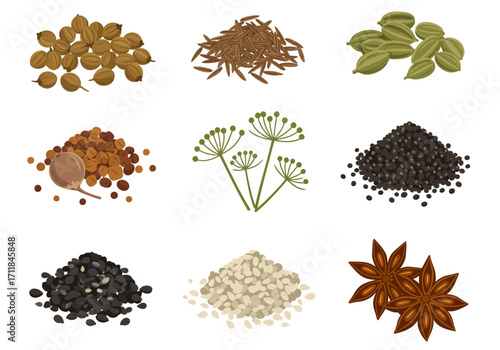 Assortment of various spicesseedsand plant parts arranged against a white background