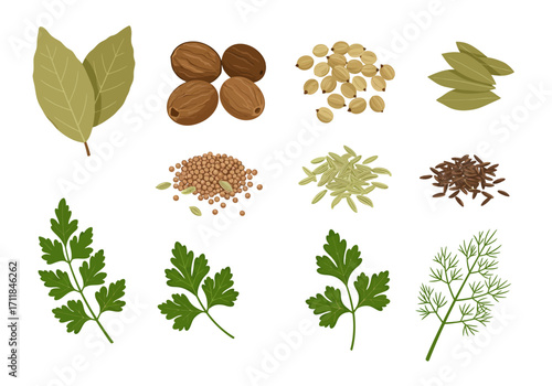 Herb and spice assortment featuring leaves seeds nuts and herbs arranged against a white background