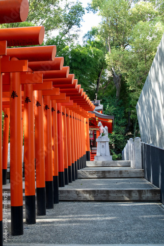 Torii gates of Ikuta Inari shrine in Kobe, Japan