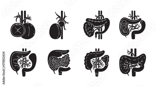 Set of eight black and white anatomical silhouettes of the human digestive system and kidneys
