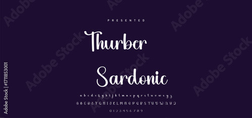 Hand drawn calligraphic vector font. Distress grunge texture. Modern script calligraphy type. ABC typography latin alphabet.