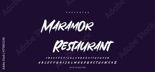 Hand drawn calligraphic vector font. Distress grunge texture. Modern script calligraphy type. ABC typography latin alphabet.