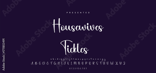 Hand drawn calligraphic vector font. Distress grunge texture. Modern script calligraphy type. ABC typography latin alphabet.