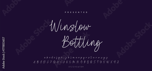 Hand drawn calligraphic vector font. Distress grunge texture. Modern script calligraphy type. ABC typography latin alphabet.