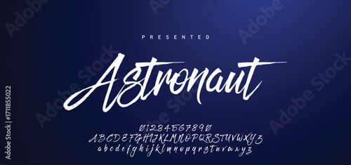 Hand drawn calligraphic vector font. Distress grunge texture. Modern script calligraphy type. ABC typography latin alphabet.