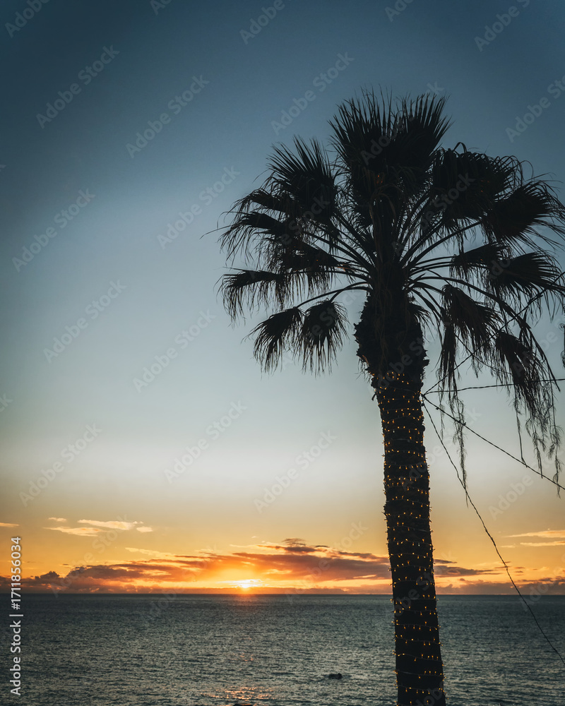 Obraz premium Sunset in Câmara de Lobos, Madeira Island