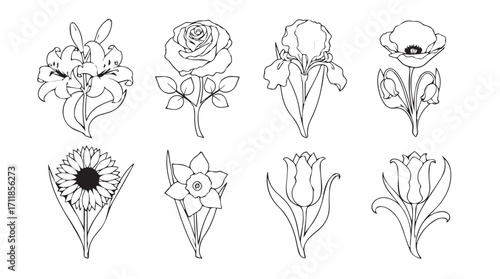 Collection of delicate hand drawn floral illustrations in silhouette style