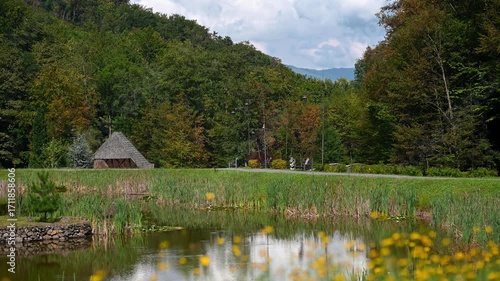 Scenic landscape in the Carpathian Mountains, Voievodyno eco-resort. Pond with reeds and flowers, wooden gazebo, and forested hills in the background. Summer mountain vacation.