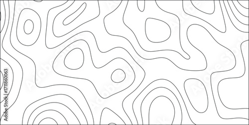 Abstract topographic contour map pattern black and white wavy lines organic shapes flowing curves seamless background vector graphic