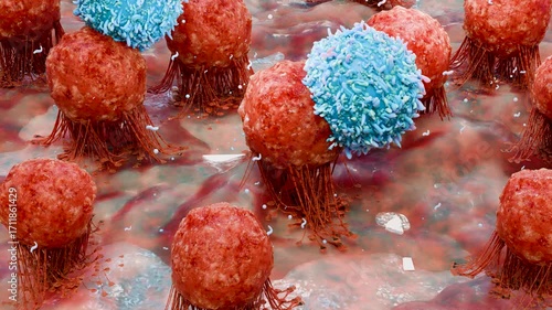 body immune response viral infection, lymphocytes, Cancer Immunotherapy, T cell and B-cell immune system fighting viruses, flagella, Dendritic or cancer tumor cells, Bacteria, 3d render	