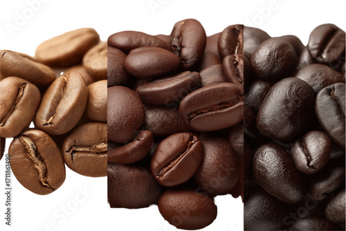 Different varieties of roasted coffee beans in various shades  