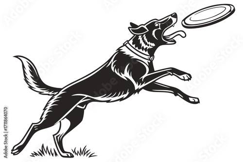Athletic Dog Leaping to Catch Flying Disc.