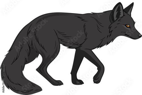 Black Fox Walking With Alert Eyes.
