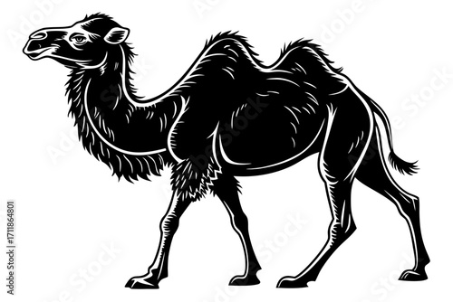 Black Silhouette of a Camel.
