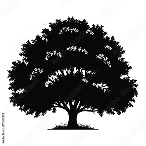 Silhouette of a large lush tree with detailed branches and foliage a symbol of nature and growth silhouette