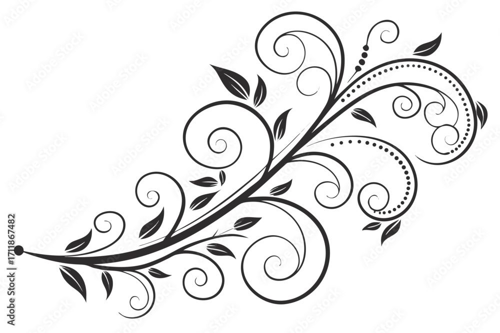Fototapeta premium Elegant Black Flourish Swirls with Leaves.