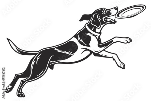 Energetic Dog Leaping to Catch Frisbee.