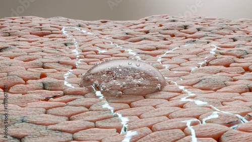 Hyaluronic acid or Moisturizer serum drop, essential Oil Bubbles for cosmetics in water, beauty cosmetic concept, Collagen and vitamin, Skin solution for reducing wrinkles, skin absorption, 3d render