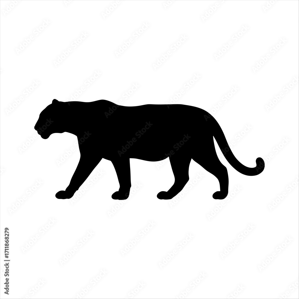 Obraz premium Black panther silhouette walking