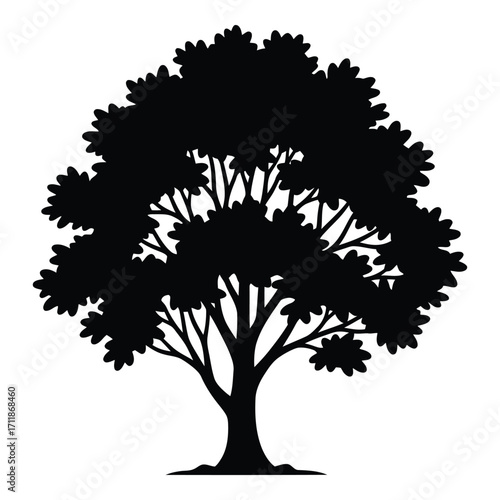 Silhouette of a lush deciduous tree with full foliage and intricate branching silhouette