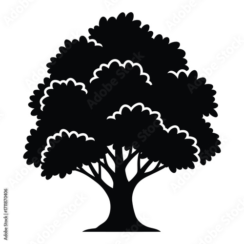 Silhouetted deciduous tree with lush foliage and strong trunk for nature designs silhouette