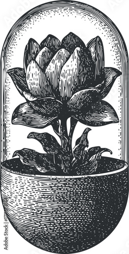 A vintage illustration of a lotus flower enclosed in a glass dome, representing nature and elegance.