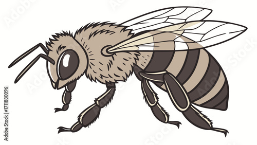 Honeybee illustration detailed drawing of a bee insect vector art striped bee design honeybee graphic bee clipart cute bee image bee icon honey producer pollinator insect nature illustr.