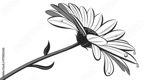 Stylized grayscale flower with dew drops botanical illustration floral design element.