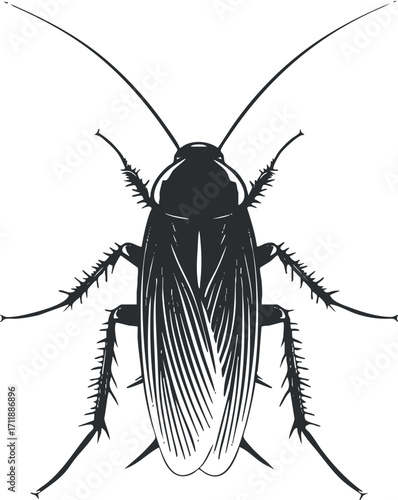 Detailed illustration of a cockroach showcasing its anatomical features and structure.