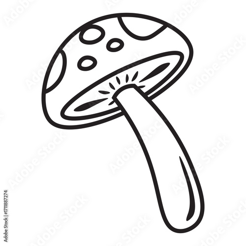 Autumn Mushroom Doodle