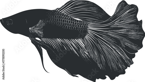 Stylized illustration of a betta fish showcasing its elaborate fins and graceful swimming posture.