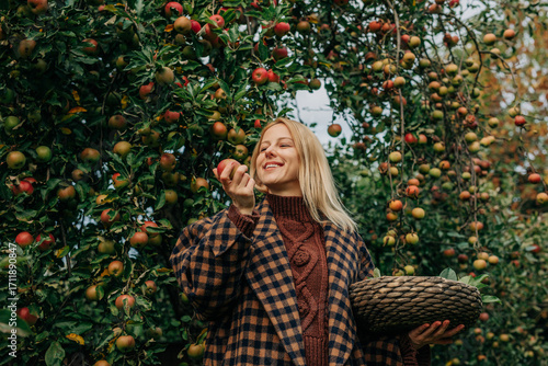 young European woman in a stylish vintage brown wool coat reaches up to pick a ripe apple from a tree