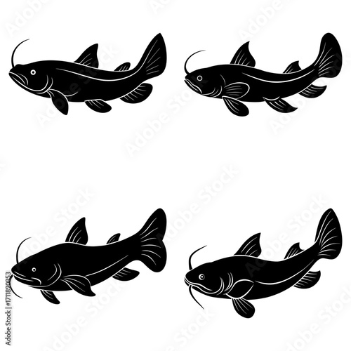A collection of four black silhouette catfish swimming in different directions on a white background view