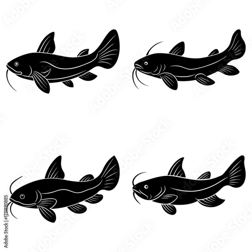 Illustration of four black catfish with whiskers and fins arranged on a white background surface