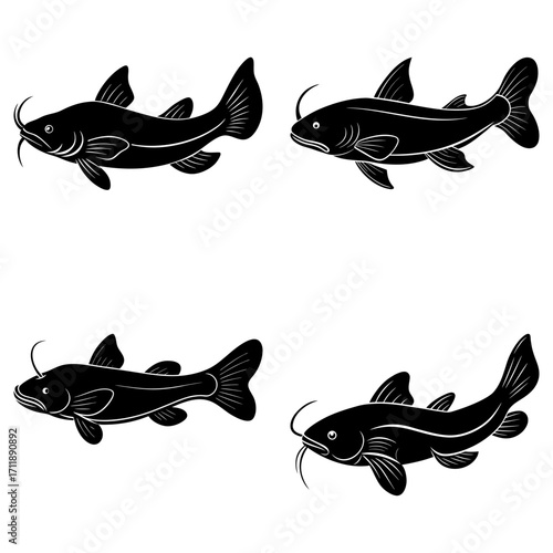 Four stylized black catfish illustrations with detailed fins and whiskers on a white background