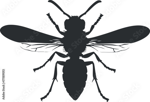 Silhouette of a bee with detailed wings and body structure showcasing its role in nature.