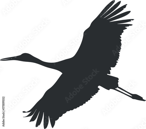 Elegant silhouette of a flying crane, symbolizing freedom and grace in nature.