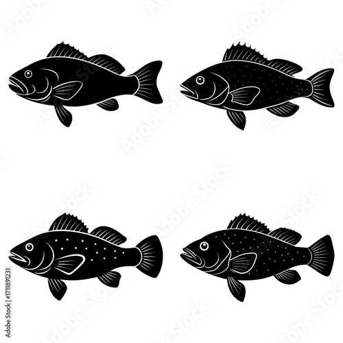 Illustration of four black fish silhouettes with varying patterns and fin arrangements on a white background